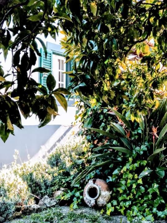 Willa Pateo Memoria, Casa Do Beco Setúbal Zewnętrze zdjęcie